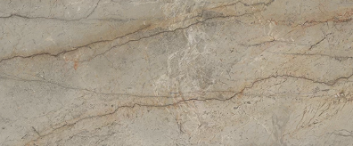 Silver Root - Bruno paul